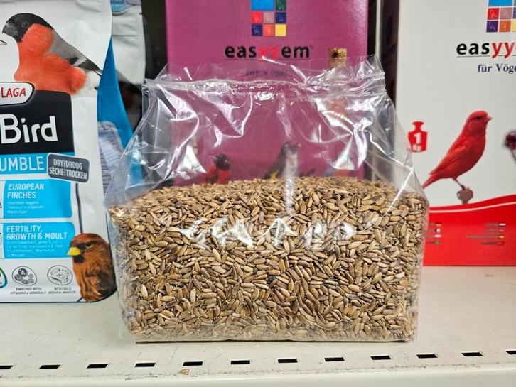 Graines de chardon-Marie 1kg - Graines individuelles - Bouti, Animaux & Accessoires, Nourriture pour Animaux, Enlèvement