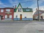 Maison à vendre à Bernissart, 4 chambres, 428 kWh/m²/jaar, Vrijstaande woning, 197 m², 4 kamers