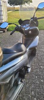 Honda PCX 125 cc, Motoren, Scooter, Particulier, 125 cc, 11 kW of minder
