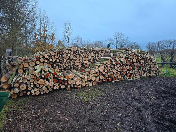 Brandhout, Jardin & Terrasse, Bois de chauffage, Troncs d'arbres, Autres essences de bois, 6 m³ ou plus, Enlèvement ou Envoi