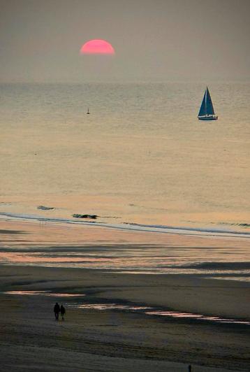 Appartement Zeedijk Blankenberge Vue sur mer et sur le pier disponible aux enchères