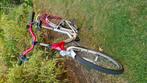 Fiets bnb 24 inch meisje roze, Ophalen, Gebruikt