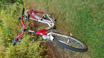 Fiets bnb 24 inch meisje roze beschikbaar voor biedingen