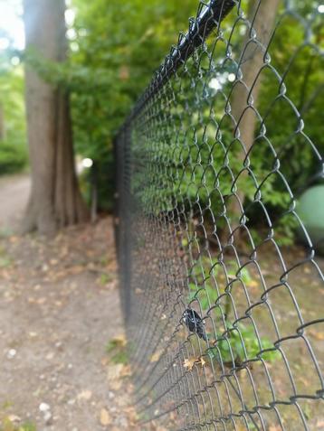 Zwarte tennisdraad  beschikbaar voor biedingen