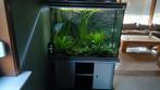 Mooi gezond aquarium, Dieren en Toebehoren, Ophalen, Zo goed als nieuw