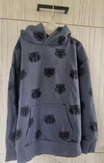 2 hoodies/pulls/truien met kap - maat 134, Kinderen en Baby's, Kinderkleding | Maat 134, Ophalen, Gebruikt