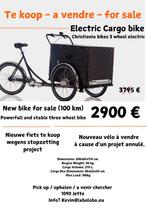 Christiania electric cargo bike (new), Fietsen en Brommers, Ophalen, Nieuw