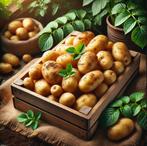 aardappelen, Ophalen