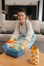 huishoudhulp, Overige vormen, Geschikt als bijbaan