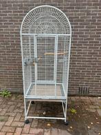 Papegaaienkooi, Ophalen