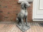 Pointer, Weimaraner, Visla, Ophalen, Nieuw, Beton, Dierenbeeld