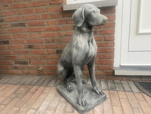 Pointer, Weimaraner, Visla, Tuin en Terras, Tuinbeelden, Nieuw, Dierenbeeld, Beton, Ophalen
