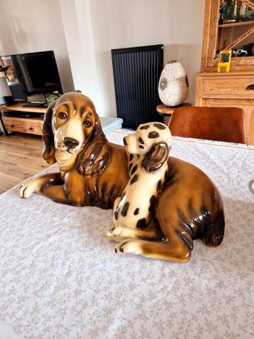 prachtige honden  beschikbaar voor biedingen