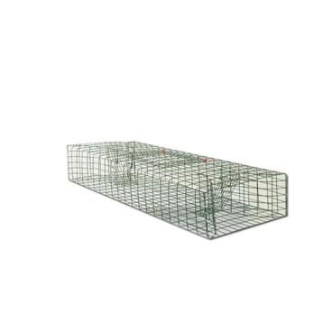 Ongediertebestrijding: muskusrat vangkooi beschikbaar voor biedingen