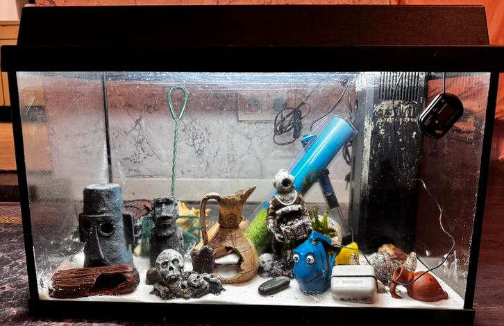 Aquarium, Dieren en Toebehoren, Vissen | Aquaria en Toebehoren, Zo goed als nieuw, Ophalen