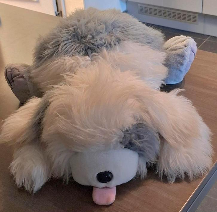 Bobtail, Kinderen en Baby's, Speelgoed | Knuffels en Pluche, Gebruikt, Hond, Ophalen of Verzenden