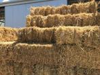 tarwe stro kleine en grote balen Sint Joris Winge, Zakelijke goederen, Landbouw | Veevoer, Ophalen