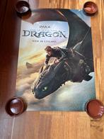 Affiche du film Dragons (How to train your dragon), Rechthoekig Staand, Ophalen of Verzenden, Zo goed als nieuw, A1 t/m A3