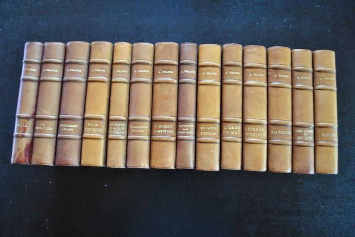 Anatole FRANCE lot de 14 reliures cuir Tirage limité Vélin, Boeken, Literatuur, Gelezen, Ophalen of Verzenden