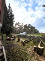 Bomen vellen en snoeien, Tuin en Terras, Ophalen