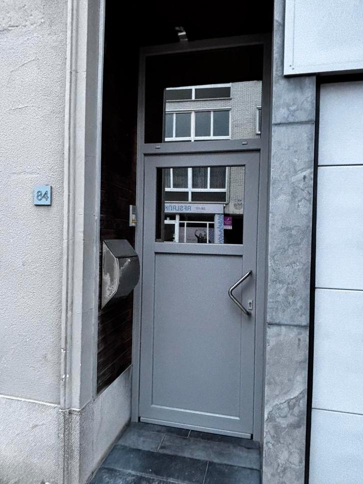 Voordeur - pvc, Bricolage & Construction, Fenêtres & Moustiquaires, Utilisé, Porte extérieure, 215 cm ou plus, 80 à 100 cm, Synthétique