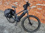 Speedpedelec: Gazelle Cityzen Speed, Fietsen en Brommers, Elektrische fietsen, Ophalen, Gebruikt, Gazelle