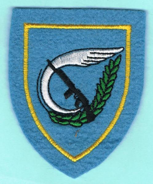 Belgian Air Force Service dress Insigne ( MS 2 ), Verzamelen, Militaria | Algemeen, Luchtmacht, Embleem of Badge, Ophalen of Verzenden