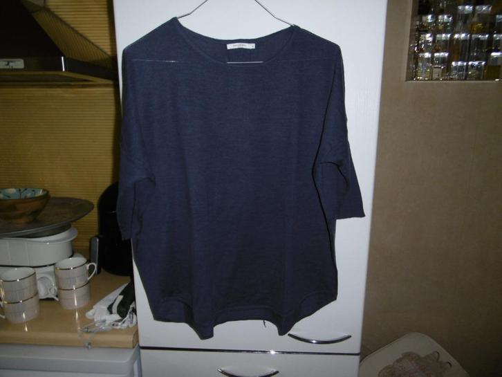 kledij dames trui blauw "hampton bays" XL,, Kleding | Dames, Truien en Vesten, Gedragen, Maat 46/48 (XL) of groter, Blauw, Ophalen of Verzenden