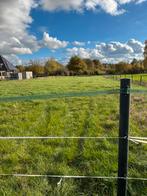 Plek vrij op de weide, Dieren en Toebehoren, Stalling en Weidegang