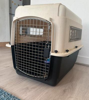Enorme voor honden of grote katten beschikbaar voor biedingen