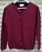 100 % Cashmere trui 'NOT SHY' - maat 38 (ook 36), Ophalen of Verzenden, Zo goed als nieuw, Maat 38/40 (M)