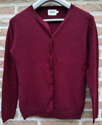 100 % Cashmere trui 'NOT SHY' - maat 38 (ook 36)  beschikbaar voor biedingen