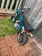 Dax/monkey project, Ophalen