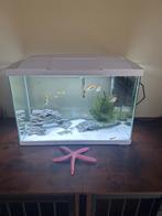 Complete superfish 70 aquarium, Dieren en Toebehoren, Vissen | Aquaria en Toebehoren, Ophalen, Gebruikt