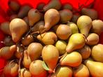 Peren: Conférence en Comice, Diversen, Levensmiddelen, Ophalen of Verzenden