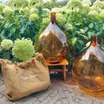 Lady Jeanne ambrée, Enlèvement