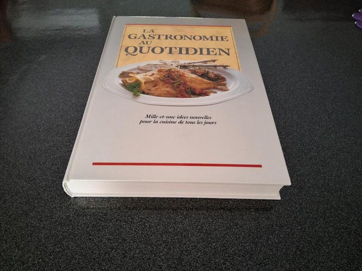 Boek „Everyday Gastronomy”, Boeken, Kookboeken, Zo goed als nieuw, Voorgerechten en Soepen, Hoofdgerechten, Taart, Gebak en Desserts