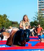 Meerdere Rodeostieren - rodeo stier, Verzenden, Zo goed als nieuw