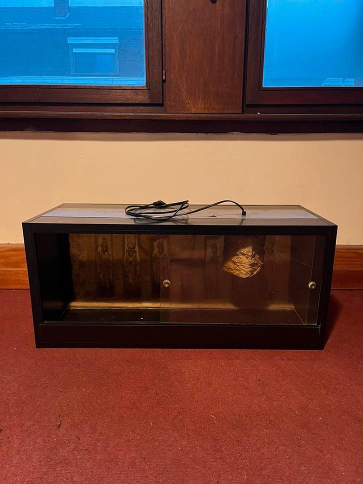 Houten terrarium, Dieren en Toebehoren, Reptielen en Amfibieën | Toebehoren, Zo goed als nieuw, Terrarium of Paludarium, Ophalen