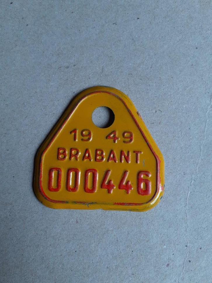 Fietsplaat taksplaat Brabant 1949 tandem, Verzamelen, Overige Verzamelen, Zo goed als nieuw, Ophalen of Verzenden