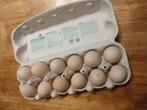 Vrije uitloop eieren te koop, Animaux & Accessoires, Volatiles | Accessoires, Comme neuf, Autres types, Enlèvement