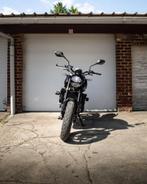 triump trident 660, Motoren, Motoren | Triumph, 3 cilinders, Meer dan 35 kW, Naked bike, 660 cc