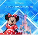 Ticket d'entrée Disneyland Paris ECO 1 parc, Tickets & Billets, Loisirs | Parcs d'attractions, Ticket ou Carte d'accès, Une personne