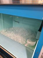 Ijsblokjes machine Mont Blanc, Elektronische apparatuur, IJsmachines, Ophalen, Nieuw