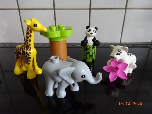 Lego Duplo 10904 Baby Dieren*VOLLEDIG*PRIMA STAAT*, Kinderen en Baby's, Speelgoed | Duplo en Lego, Duplo, Complete set, Ophalen of Verzenden