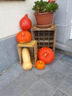 Houten fruitkisten, Huis en Inrichting, Woonaccessoires | Kisten, Ophalen, Gebruikt