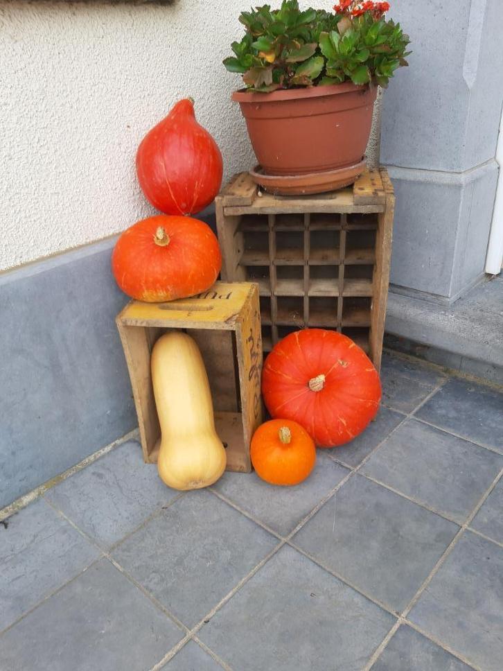 Houten fruitkisten, Huis en Inrichting, Woonaccessoires | Kisten, Gebruikt, Ophalen