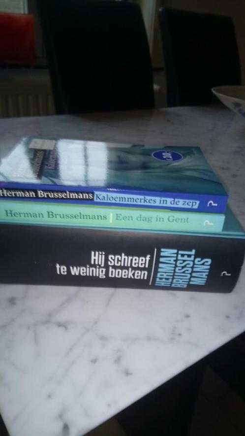 Herman Brusselmans - Hij schreef te weinig boeken, Boeken, Literatuur, Ophalen
