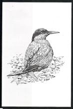 Postzegels België : Diverse zwart/wit velletjes en andere, Enlèvement ou Envoi, Non oblitéré, Autre, Autre