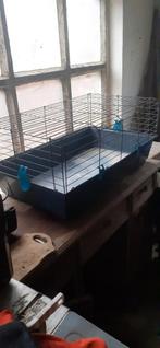 Cage a lapin, Lapin, Moins de 60 cm, Cage, Utilisé